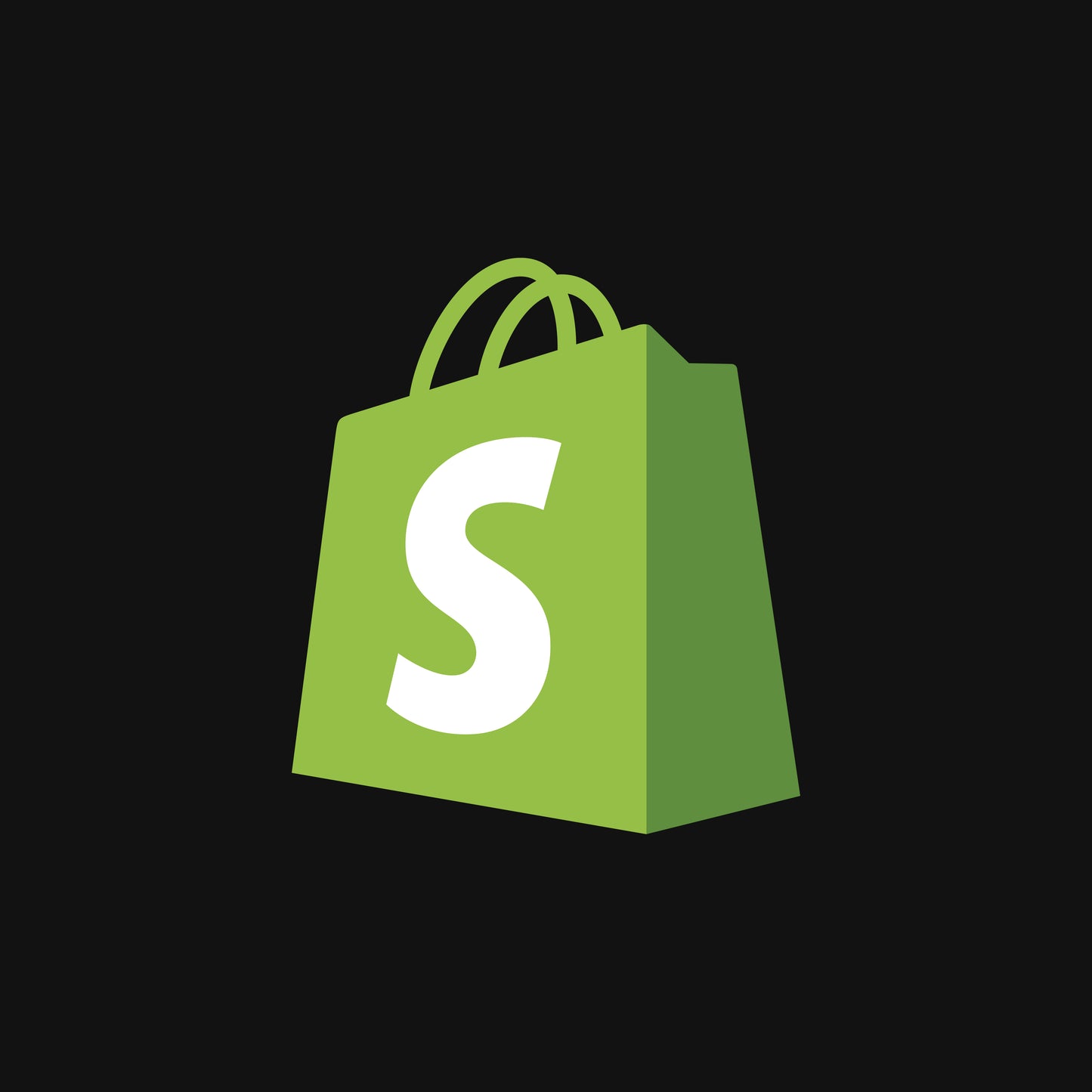 Online Shopify Course