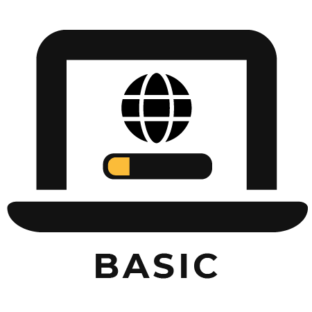 Globe icon inside laptop icon representing basic website