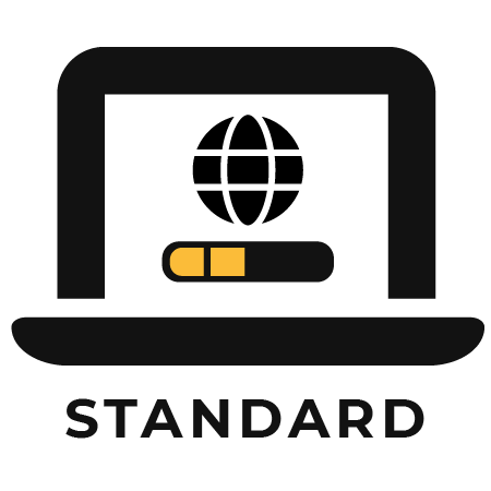 Globe icon inside laptop icon representing standard website